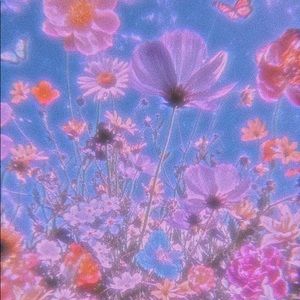 Meet your Posher, Harley